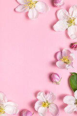 Fototapeta na wymiar Spring background. Beautiful delicate fresh spring flowers, buds, green leaves of apple tree on pink background flat lay top view. Springtime nature concept. Bloom, inflorescence, flowering. Frame