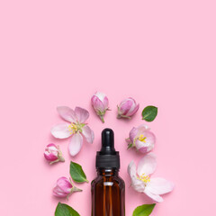 Clean brown glass cosmetic bottles with dropper, delicate spring flowers on pink background flat lay top view. Spring concept of natural organic cosmetics, beauty herbal product spa aroma oil. Mockup