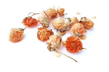 Dried globe amaranth flowers