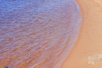 Nature in the spring in the suburbs of St. Petersburg