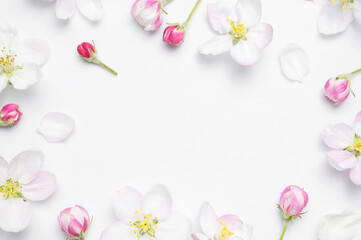 Fototapeta na wymiar Beautiful delicate fresh spring flowers and buds of apple tree on white background top view. Spring background flat lay. Springtime nature concept. Bloom, inflorescence, flowering 