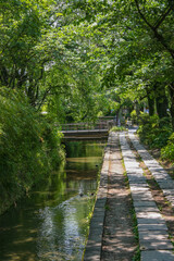 京都・疏水分線に沿って続く哲学の道