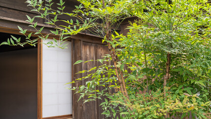 日本家屋と木の生えた庭
