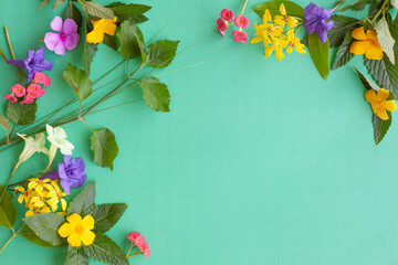 A frame full of summer. Colourful flowers and leaves framing green background with plenty of free empty space for text. 