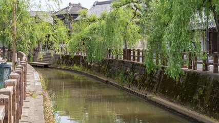 日本の観光名所。千葉県香取市佐原。柳の木と水路の風景。