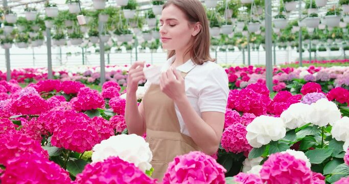 Side view close up of smiling attractive young brunette woman removes the protective mask and enjoying smell incredible pink flowers. Concept of sniffing flowers in modern greenhouse. 