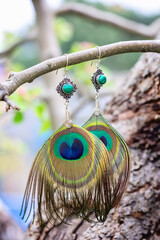 Peacock feather earrings with mineral bead hanging in nature