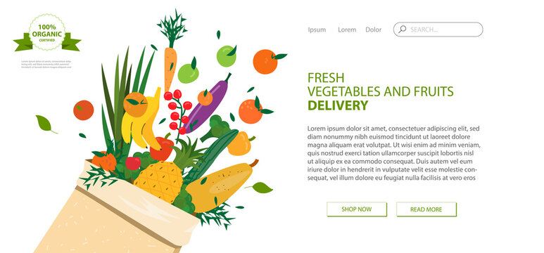 Web page design template for grocery store, online market, farm, home delivery fresh vegetables and fruits. Vector illustration for website development, app mobile. Fresh organic food in cardboard bag