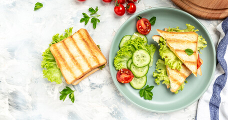 Hot sandwich with ham, cheese and tomatoes served with fresh salad. Long banner format, top view