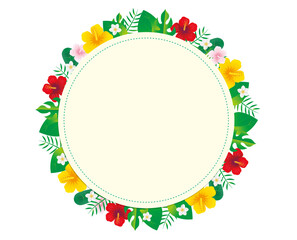 ハイビスカス　南国 　熱帯　植物