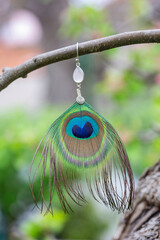 Peacock feather earrings with mineral bead hanging in nature