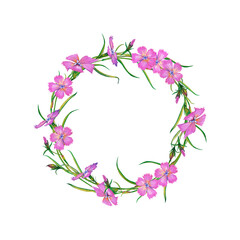Fototapeta na wymiar Spring, summer floral wreath of pink carnations with leaves and buds. Delicate meadow wildflowers in round frame. Greeting card design. Watercolor hand painted isolated elements on white background.