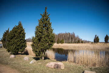 Kanieris lake in sunny spring day, Latvia