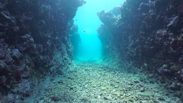 Moving in a natural trench underwater carved into the seafloor on the outer reef, south Pacific ocean, French Polynesia