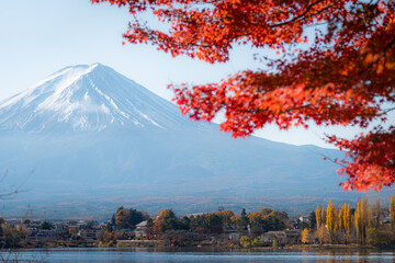 Fototapeta na wymiar Fuji mountain in Autumn season