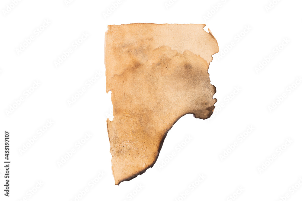 Poster old leaf with charred edges isolated on a white background
