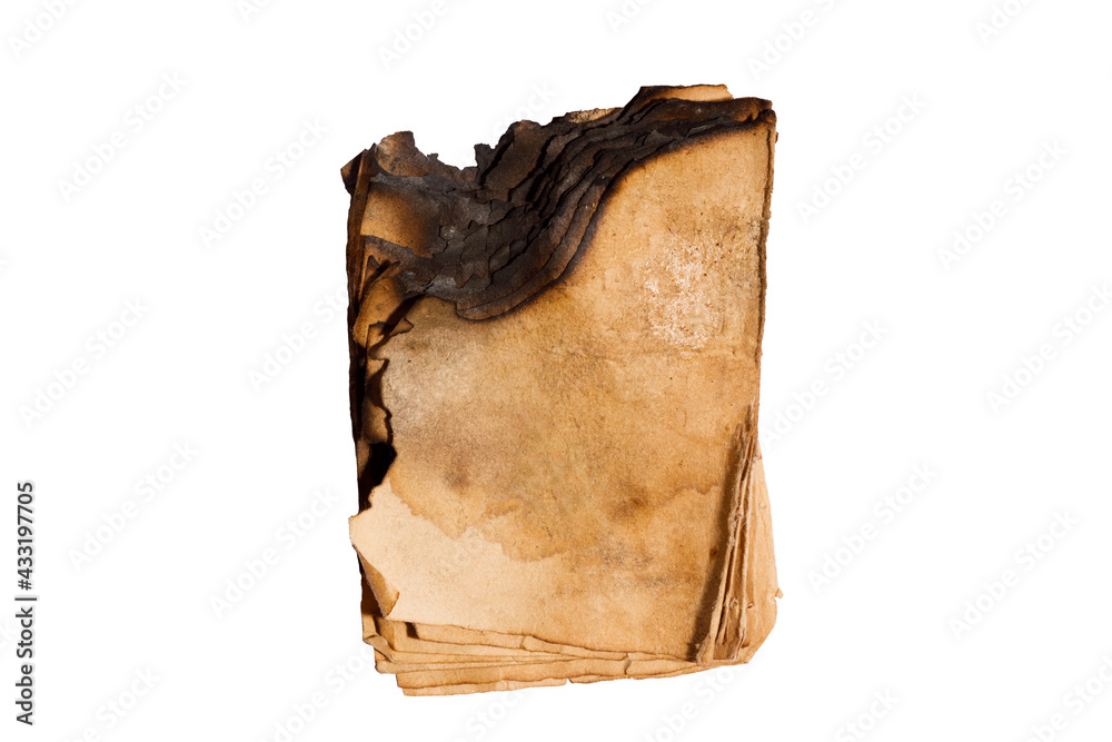 Aufkleber old leaf with charred edges isolated on a white background