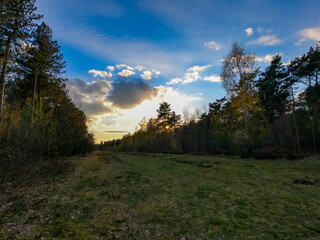 Dramatic and colorful Sunrise or sunset on a field covered with young green grass and yellow flowering dandelions in springtime. Sunbeams making their way through the clouds. High quality photo