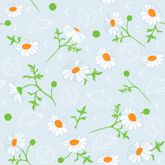 Seamless daisy pattern. Vector background with white chamomiles. Daisy flower, butterfly. Chamomile. Flat vector illustration, isolated objects 
