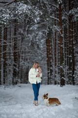 Blonde young female with ginger white chihuahua and welsh corgi pembroke in a snowy forest in winter