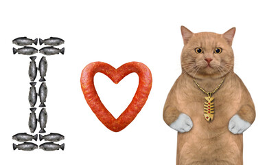 A reddish cat stands near a heart shaped sausage and a fish letter I. White background. Isolated.