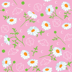 Fototapeta na wymiar Seamless daisy pattern. Vector background with white chamomiles. Daisy flower, butterfly. Chamomile. Flat vector illustration, isolated objects 