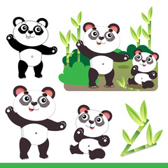 Cartoon panda with little cub and bamboo or sugar cane. Animals. Zoo. Colorful vector illustration set for kids.