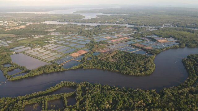 Aerial drone shot of fertile organized agricultural field with different types of plants and watering method focusing on the river that flowing through showing also fish and shrimp, prawn farming