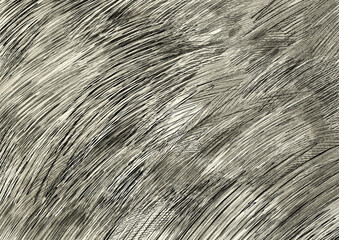 Hand-drawn Pattern Hair/Straw/Fur