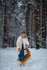 Fototapeta premium Young blonde female is playing with her welsh corgi pembroke in a winter snowy forest