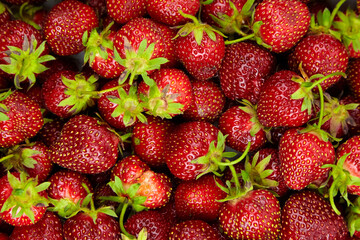 Strawberry red berries background top view