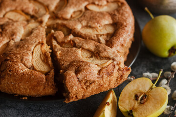 Charlotte. Delicious apple pie. Apple pie on the table