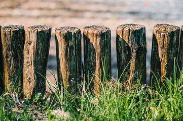 Log short fence with green grass.background.Close up