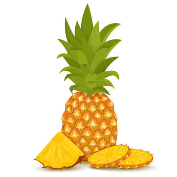 Whole pineapple with round slices and piece isolated on white background. Vector illustration. Flat design