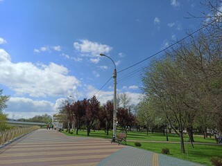 street in the park 