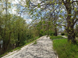 An old path in the park