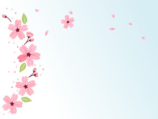 Obraz na płótnie Canvas Cherry blossom on blue sky background vector.