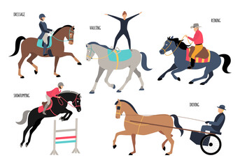 Collection of different gaits of horses and equestrian sports: Dressage, Show jumping, Reining, Driving, Vaulting isolated on white background. Colorful vector illustration in flat cartoon style. - obrazy, fototapety, plakaty