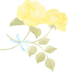 水彩で描いた黄色の薔薇のイラスト