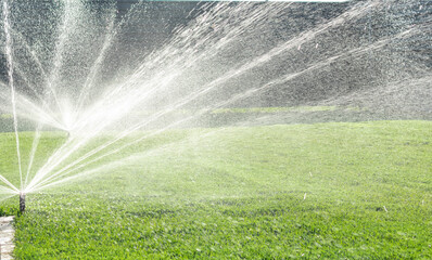Garden irrigation system lawn. Automatic lawn sprinkler watering green grass. Selective focus.