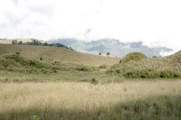 Obraz premium Crater hill of Kawah Wurung on the top of Mount Ijen and Mount Merapi at Bondowoso, Indonesia. Natural landscape background.