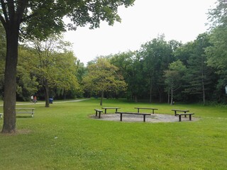 Inside a local green park at Danforth area. Empty benches. Two people with a dog in background.