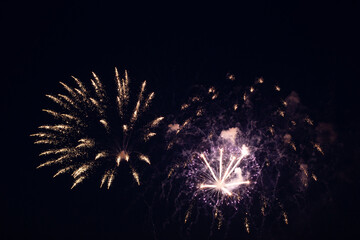 Festive fireworks in the dark night sky