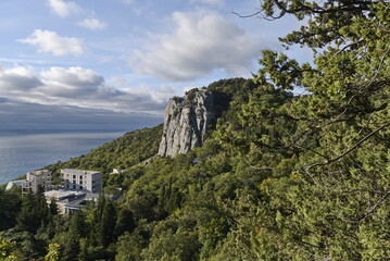 Yalta, Crimea - 10.16.2015 : Different types of vegetation in a mountainous area against the background of buildings near the Black Sea coast.