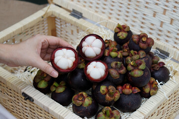 Fresh ripe mangosteen fruits on table and copy space, Thai call Queen of Fruit in Thailand.