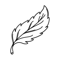 Leaf Doodle vector icon. Drawing sketch illustration hand drawn cartoon line eps10