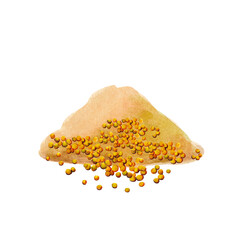 Ground mustard and seeds of mustard spice.  Mustard set  isolated on white background.  Watercolor hand drawn illustration. - 433208340