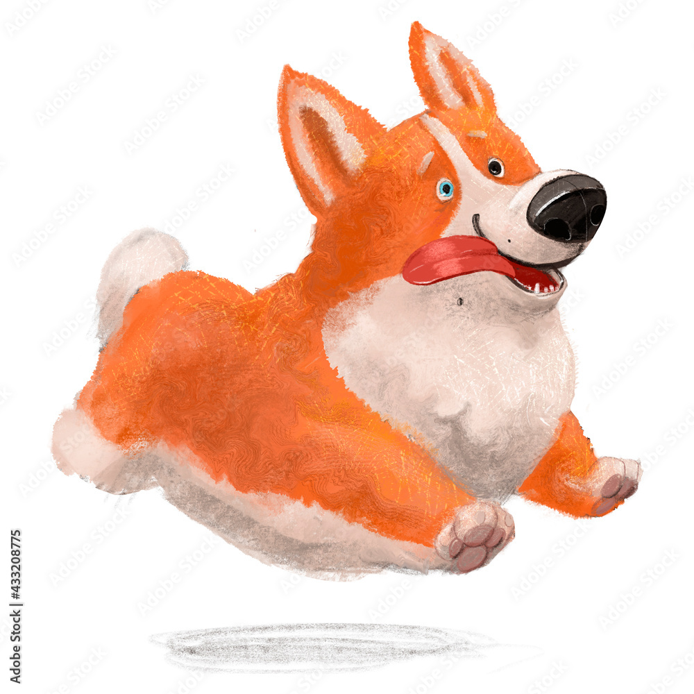 Wall mural cute lovely corgi dog character on white background