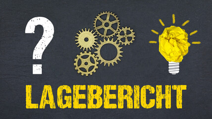 Lagebericht 