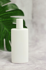 White plastic cosmetic bottle on on marble with palm leaf, sunscreen, cream,oil, facial hand skin care 